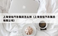 上海宝信汽车集团怎么样（上海宝信汽车集团有限公司）